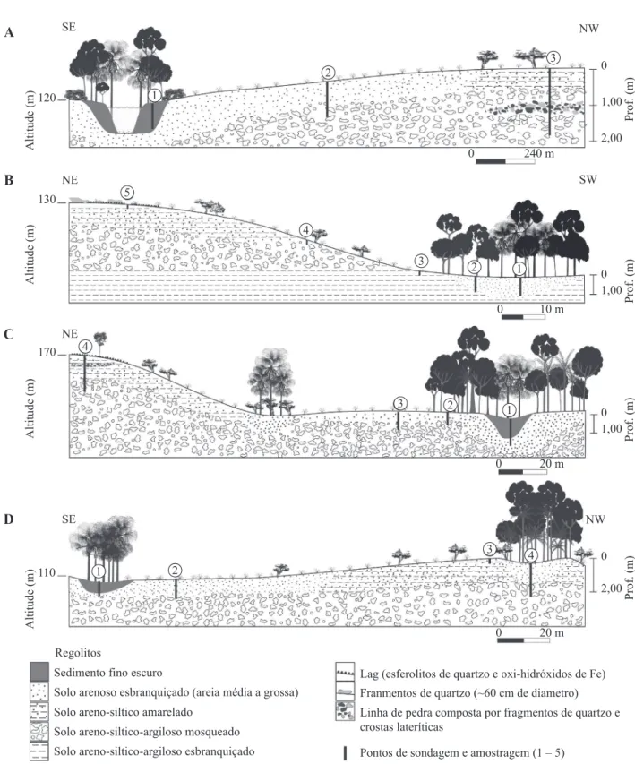 Figura 3 – Esquemas longitudinais das topossequências, destacando os pontos de sondagem e amostragem e a  distribuição da cobertura vegetal e pedológica ao longo das vertentes
