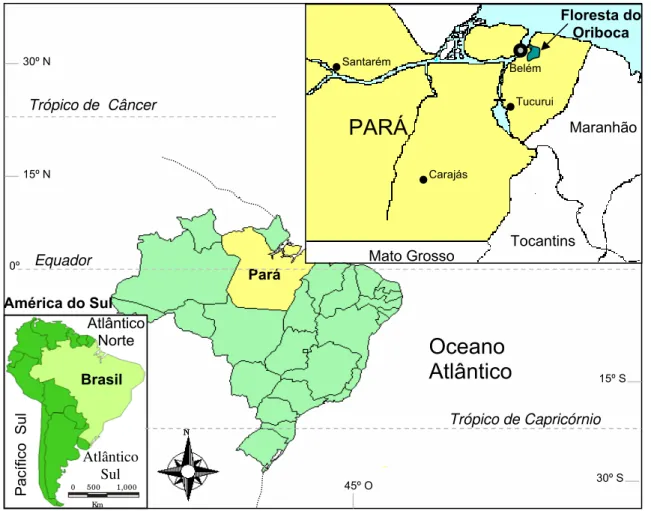 Figura 1 – Localização geográfica da floresta do Oriboca, Estado do Pará: sítio de isolamento dos primeiros arbovírus do  Grupo C