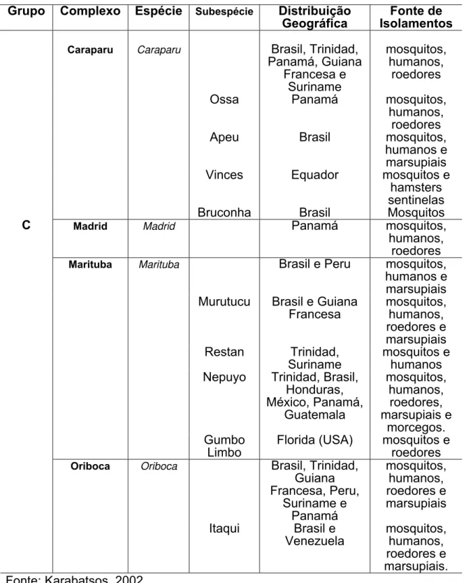 Tabela 1 - Distribuição dos vírus pertencentes ao grupo C em complexos, tipos,  subtipos, área geográfica, e fonte de isolamentos