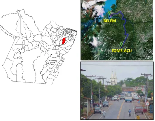 Figura  10  -  Município  de  Tomé-Açu,  localizado  no  estado  do  Pará,  distante  113  km  da  capital Belém