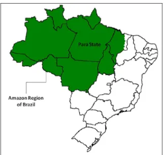 Fig. 1. Geographic localization of the Pará State, Amazon Region of Brazil. 