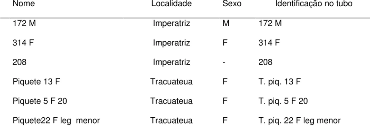 Tabela 02. Identificação das amostras dos avestruzes, utilizados na seleção dos iniciadores