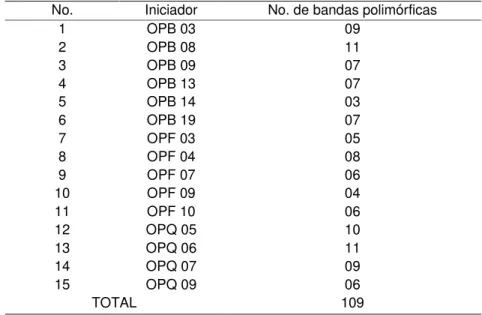 Tabela 05. Número de bandas polimórficas, geradas por cada iniciador utilizado no presente  estudo