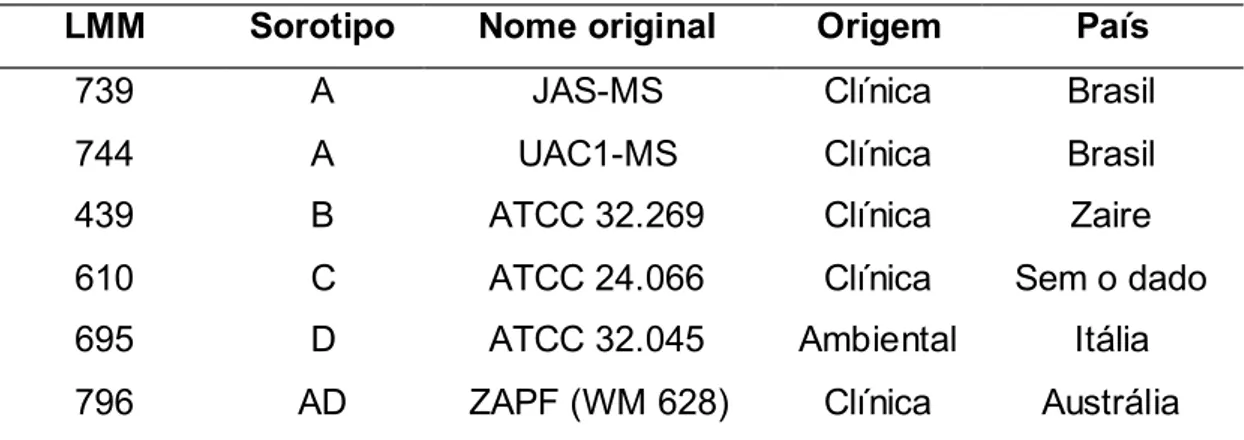 Tab.  4.1  –   Cepas  padrão  de  sorotipos  de  C.  neoformans    e  C.  gattii,  utilizadas  como  referência  para  a  caracterização  de  sorotipo
