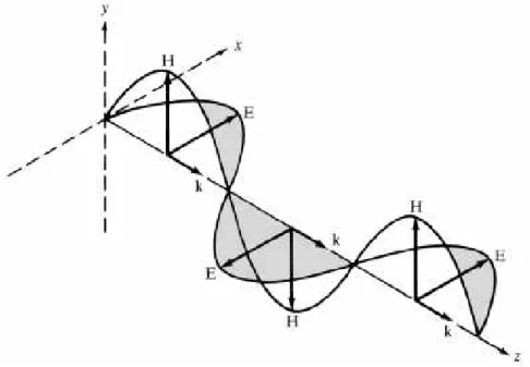Figura 1.1  – Onda plana se propagando no eixo z, tendo polarização na direção x. 