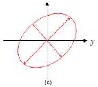 Figura 1.4 - Representação da polarização elíptica 