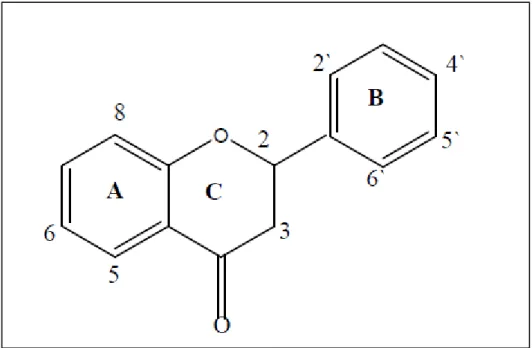 Figura 3: Estrutura geral dos flavonóides 