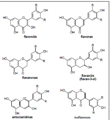 Figura 4: Principais classes dos flavonoides. 