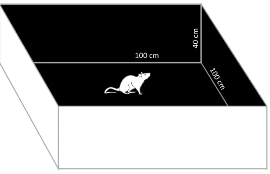 Figura 4: Arena utilizada no teste do campo aberto ilustrando o posicionamento do  animal no centro do aparato no início do teste e as dimensões do aparato.