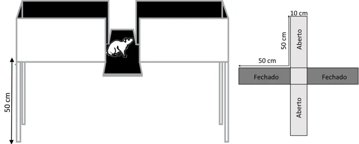 Figura  8:  Diagrama  esquemático  do  aparato  do  labirinto  em  cruz  elevado  (LCE)  com  suas  respectivas dimensões