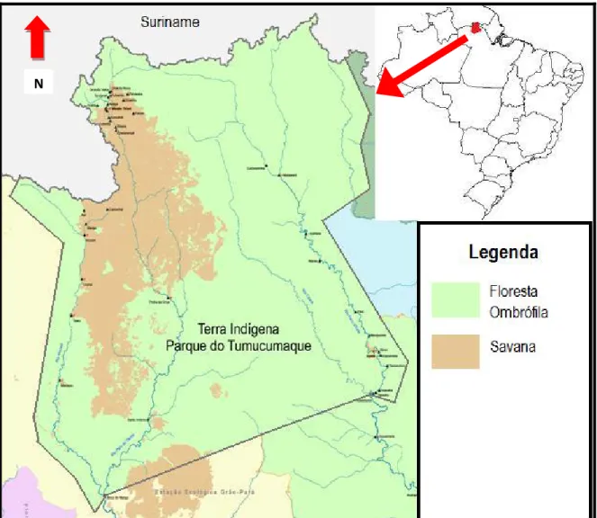 Figura 1: Mapa do Parque Indígena do Tumucumaque, as áreas em verde representam a  floresta ombrófila, manchas em marrom são as áreas de savana