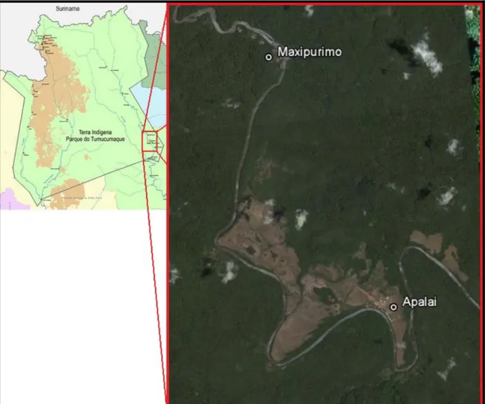 Figura 7: Localização das aldeias Apalai e Maxipurimo no Parque Indígena do Tumucumaque