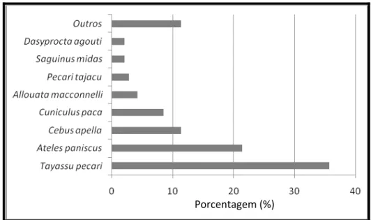 Figura 11: Abundância relativa das espécies de mamíferos registradas.  