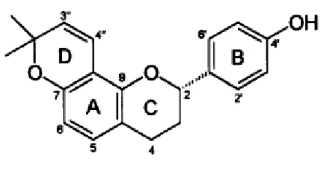 Figura 6: Estrutura química de BAS1. 