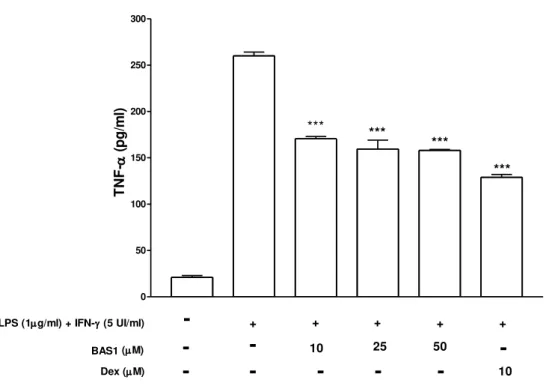 Figura 12. Produção de TNF-α em cultura de macrófago estimulados com LPS (1  µg/ml)+IFN- γ (5  UI/ml)  e  co-tratado  com  BAS1  em  3  concentrações  diferentes  (10,  25  e  50  µM)  durante  24h  de  exposição