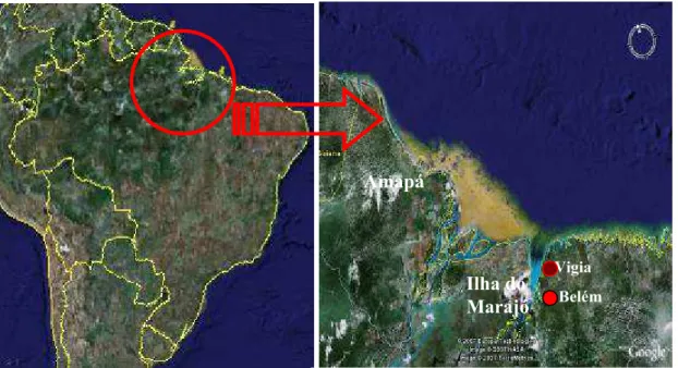 Figura 6. Imagem por satélite do Brasil. 
