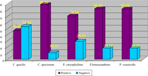 Gráfico 1. Percentagem de positivo e negativo das espécies de Trypanorhyncha encontrados em  peixes de valor comercial do litoral amazônico