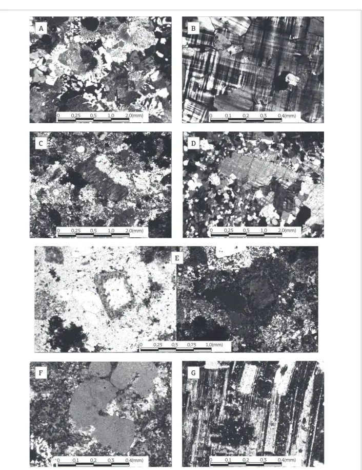 Figure 4. Photomicrographs of the rocks from the Cerro Porã Granite illustrating the following: (A) graphic and  granophyric intergrowths in xenomorphic texture in the Pink Syenogranitic Facies; (B) crystal from the perthitic  microcline  with  grid  twinn