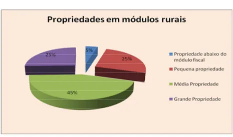 Gráfico 2 – Propriedades em módulos rurais 