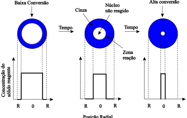 Figura 2.5- Processo reacional do Modelo do Núcleo Não Reagido. 