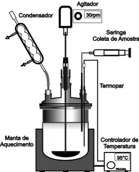 Figura 3.2- Figura ilustrativa do reator utilizado nos ensaios de lixiviação (Lima 2012)