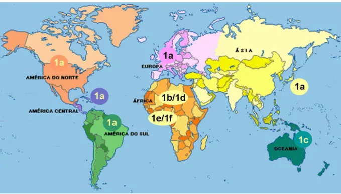 Figura 3  −  Distribuição geográfica dos subtipos de HTLV-1 no globo terrestre.  Fonte:  
