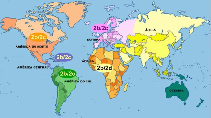 Figura 4  −  Distribuição geográfica dos subtipos de HTLV-2 no globo terrestre.  Fonte: 