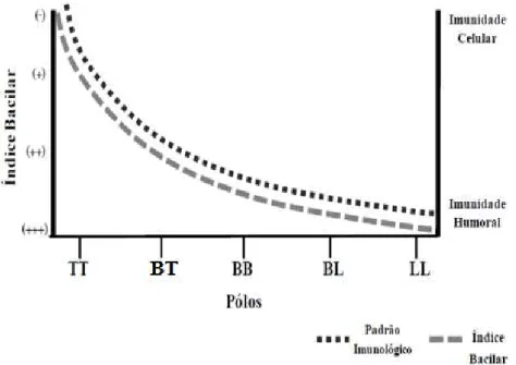 Figura 1: Espectro clínico da hanseníase: O padrão Imunológico, medido pelo teste  de  Mitsuda,  e  o  Ìndice  Bacilar,  medido  pelo  índice  baciloscópico  (IB),  entre  os  distintos pólos da hanseníase, segundo a classificação de Ridley &amp; Jopling