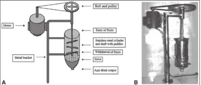 Figura 4. Despolpadeira de frutos de açaí. Componentes esquemáticos e caminho dos frutos de açaí (A)  e imagem real (B)