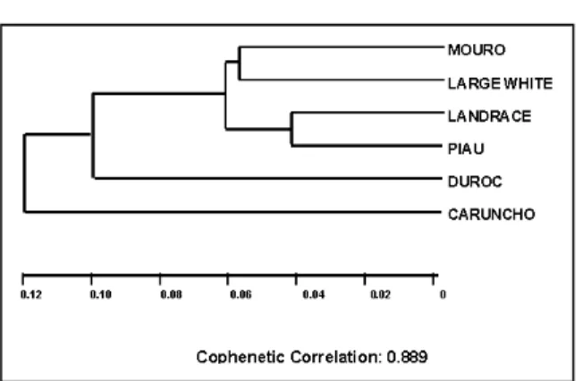 Figure 1 - Cluster analysis by UPGMA using Rogers’ Distance Matrix (1972) calculated for six swine breeds.