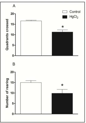 Figure 2. Effects of HgCl 2  administration (0.375 mg/kg/day) for 45 days on the locomotor  activity of male Wistar rats evaluated in the open field (5 min)
