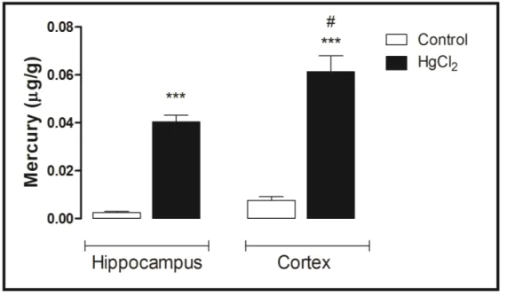 Figure 6 displays the mercury concentrations in the hippocampus and cortex of rats (after 45 days  of  intoxication)