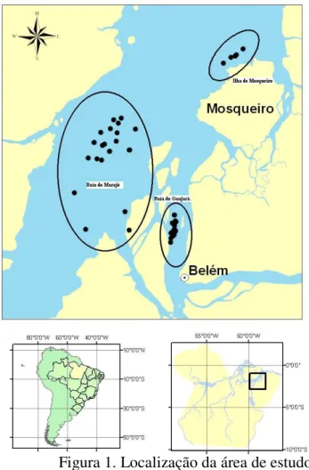 Figura 1. Localização da área de estudo. 