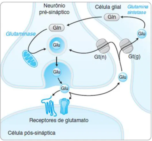 Figura 01: Estrutura molecular de L-glutamato. 