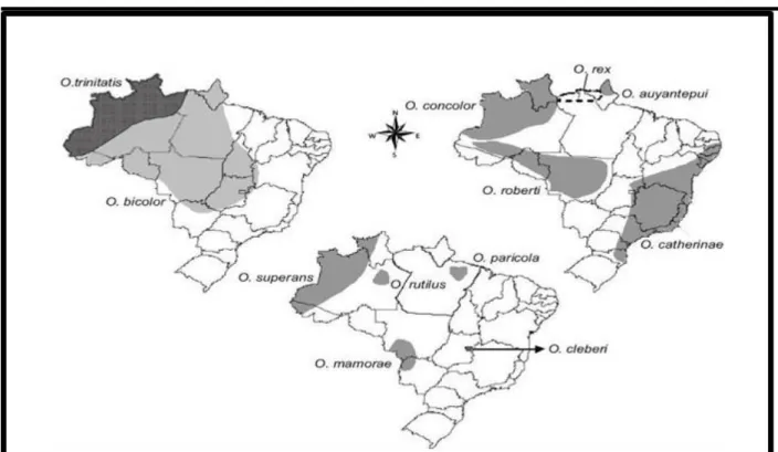 Figura 5. Distribuição das espécies de Oecomys no Brasil (Bonvincino et al., 2008) 