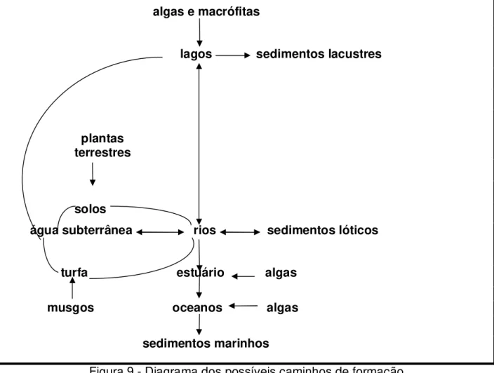 Figura 9 - Diagrama dos possíveis caminhos de formação   das substâncias húmicas no ambiente