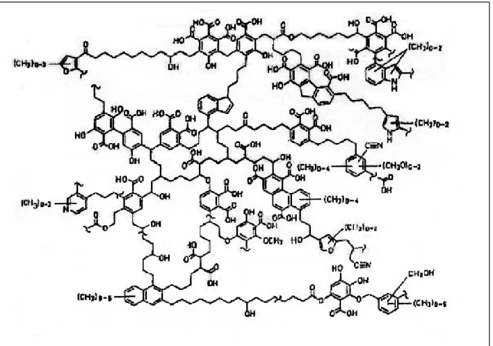 Figura 13 - Modelo proposto por SCHULTZEN &amp; SCHNITZER (1993)    para a estrutura do ácido húmico