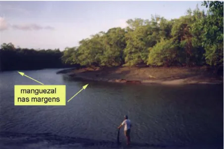 Figura 28 - Local  de  coleta  no  rio  Arapepó,  na  localidade  Corema  (Portinho), em período de estiagem (outubro/1997) - terceira amostragem
