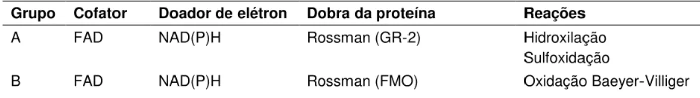 Tabela 1  –  Descrição geral das monooxigenases dependentes de flavina 