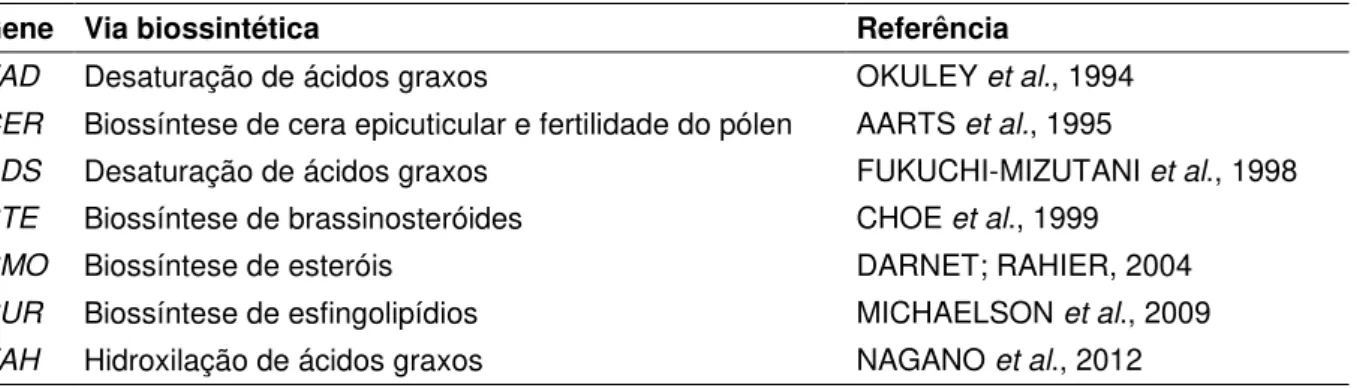 Tabela  3  –   Genes  que  codificam  oxigenases  com  ferro  não  hêmico  caracterizados  em  Arabidopsis  thaliana 