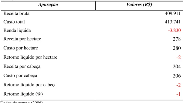 Tabela 26 - Demonstração dos resultados para as fazendas de pecuária ao leste do Parque do  Xingu (MT), 2005-06