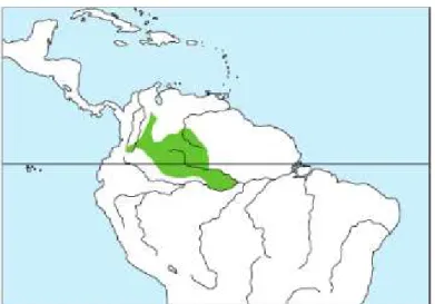 Figura 3- Distribuição geográfica da espécie Saimiri cassiquiarensis.  