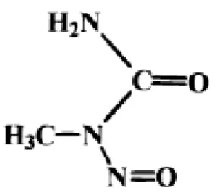 Figura 12 - Estrutura química do MNU (N-Metil-N-nitrosurea). 