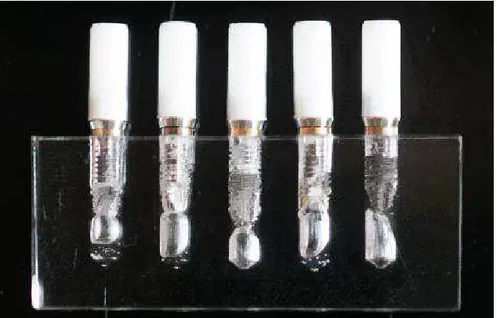 Figura 11 Implantes e abutments UCLA com cinta metálica de ouro da empresa SIN (SI Au) posicionados junto aos implantes.