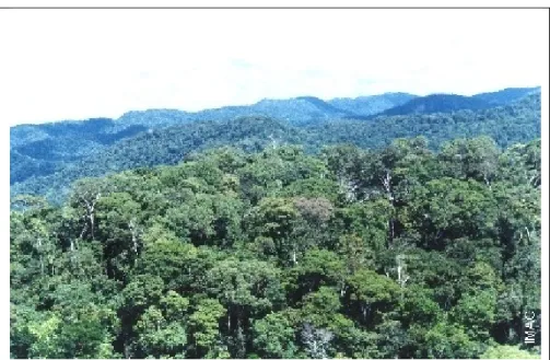 Figura 5. Vista panorâmica da Serra do Divisor recoberta por Floresta ombrófila densa  submontana. Fonte: Governo do Acre (IMAC). 