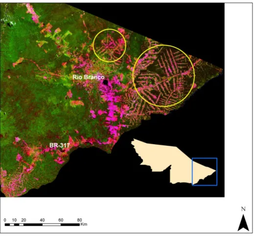 Figura  8.  Localização  dos  principais  projetos  de  assentamento  no  leste  do  estado  do  Acre. As linhas  vermelhas observadas  no interior  dos círculos  em  destaque  indicam  a  localização dos assentamentos do INCRA. 