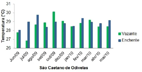 Figura 14: valores de temperatura obtidos entre junho de 2009 a maio de 2010, em cultivo de  ostras localizado em Lauro Sodré, Curuçá, Pará