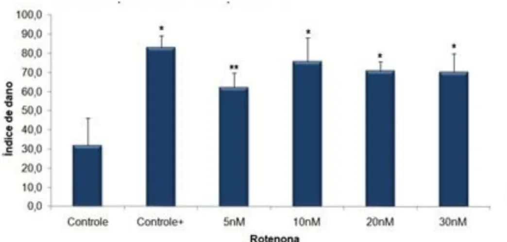 Figura 7 - Média dos índices de dano ao DNA avaliado pelo teste dos cometas realizados em células  de mesencéfalo ventral de ratos Wistar neonatos, após exposição à 5, 10, 20 e 30 nM de rotenona  por 24 horas