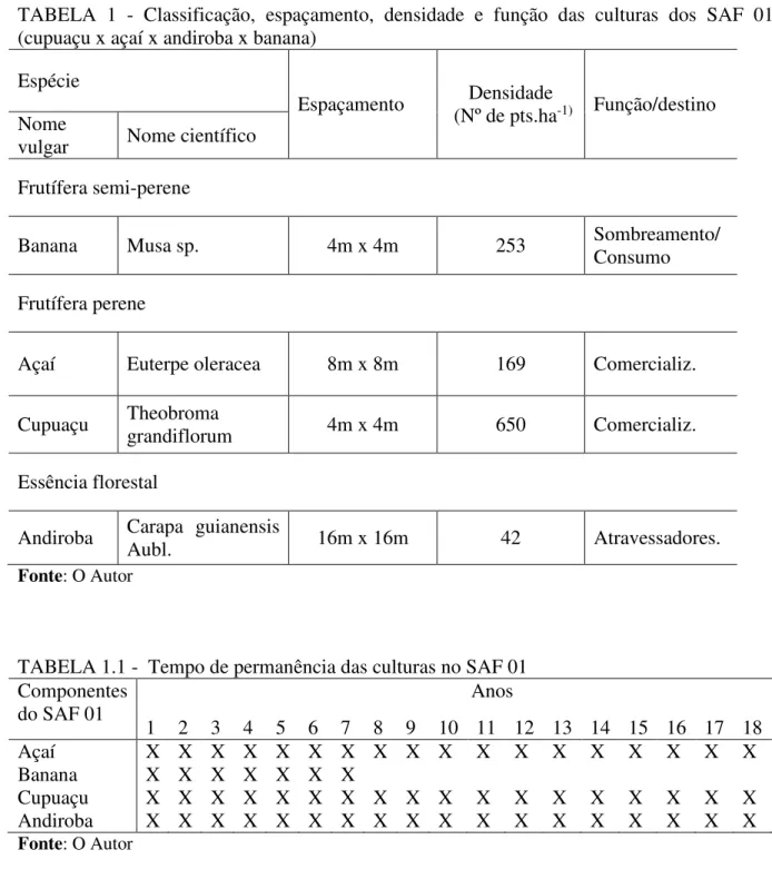 TABELA  1  -  Classificação,  espaçamento,  densidade  e  função  das  culturas  dos  SAF  01  (cupuaçu x açaí x andiroba x banana) 
