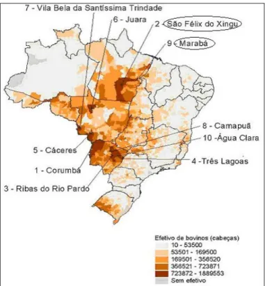 Figura 1. Distribuição espacial do rebanho de bovinos, com destaque para os dez principais municípios brasileiros